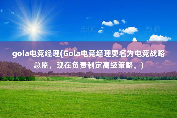 gola电竞经理(Gola电竞经理更名为电竞战略总监，现在负责制定高级策略。)