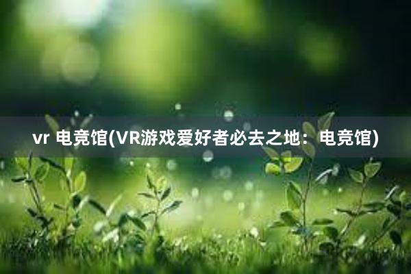 vr 电竞馆(VR游戏爱好者必去之地：电竞馆)