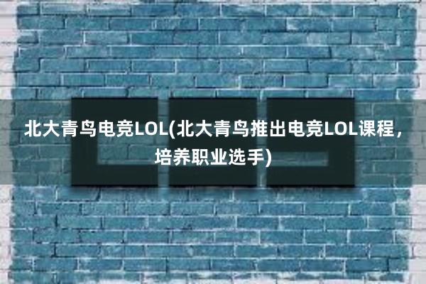 北大青鸟电竞LOL(北大青鸟推出电竞LOL课程，培养职业选手)