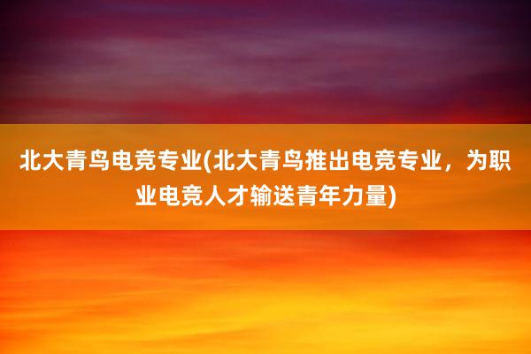 北大青鸟电竞专业(北大青鸟推出电竞专业，为职业电竞人才输送青年力量)