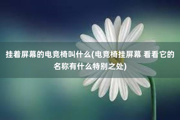 挂着屏幕的电竞椅叫什么(电竞椅挂屏幕 看看它的名称有什么特别之处)