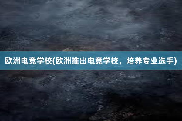 欧洲电竞学校(欧洲推出电竞学校，培养专业选手)