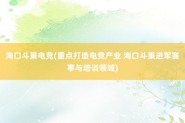 海口斗巢电竞(重点打造电竞产业 海口斗巢进军赛事与培训领域)