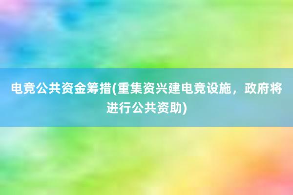 电竞公共资金筹措(重集资兴建电竞设施，政府将进行公共资助)