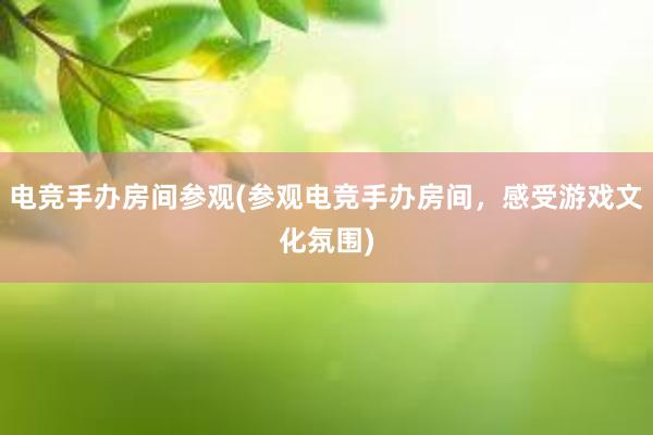 电竞手办房间参观(参观电竞手办房间，感受游戏文化氛围)