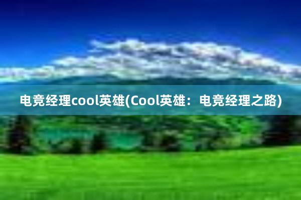 电竞经理cool英雄(Cool英雄：电竞经理之路)