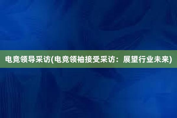 电竞领导采访(电竞领袖接受采访：展望行业未来)