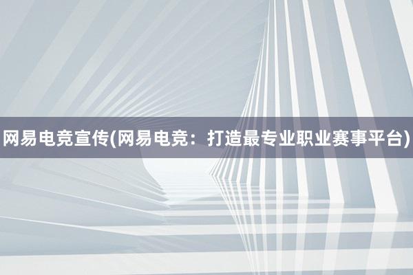 网易电竞宣传(网易电竞：打造最专业职业赛事平台)