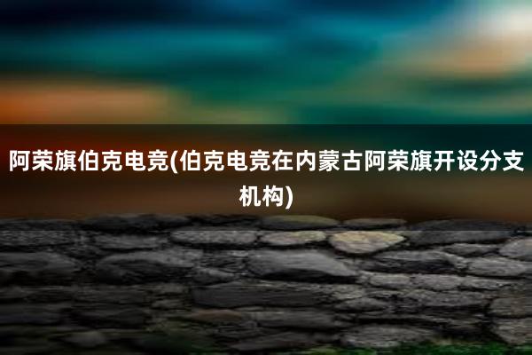 阿荣旗伯克电竞(伯克电竞在内蒙古阿荣旗开设分支机构)