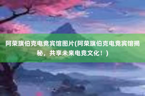 阿荣旗伯克电竞宾馆图片(阿荣旗伯克电竞宾馆揭秘，共享未来电竞文化！)