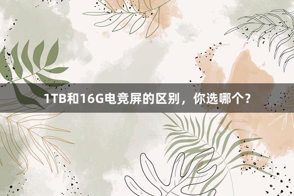 1TB和16G电竞屏的区别，你选哪个？