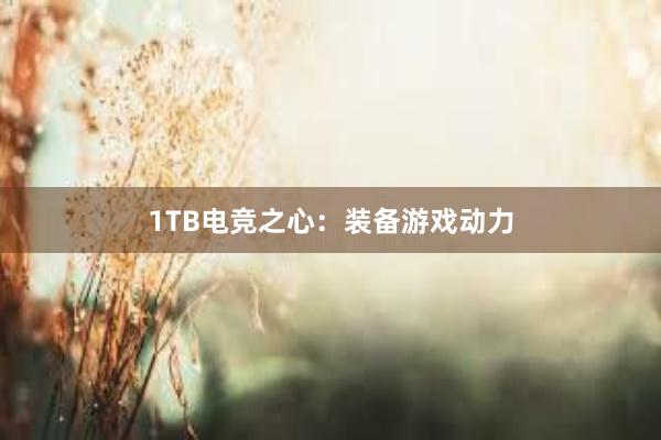 1TB电竞之心：装备游戏动力