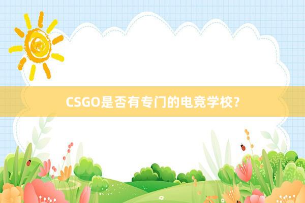 CSGO是否有专门的电竞学校？