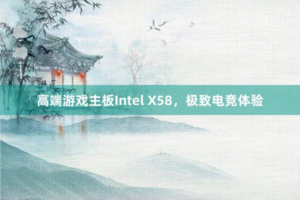 高端游戏主板Intel X58，极致电竞体验