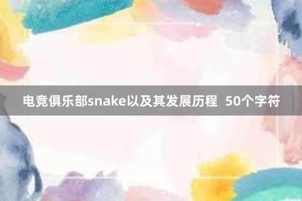 电竞俱乐部snake以及其发展历程  50个字符