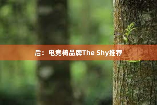 后：电竞椅品牌The Shy推荐