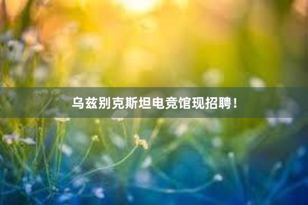 乌兹别克斯坦电竞馆现招聘！