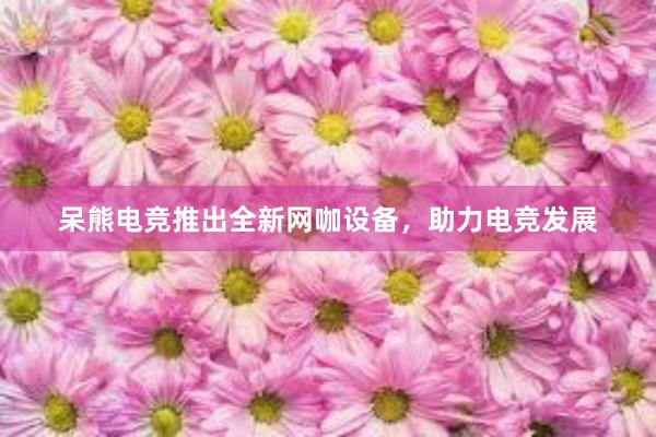 呆熊电竞推出全新网咖设备，助力电竞发展