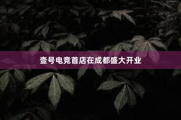 壹号电竞首店在成都盛大开业