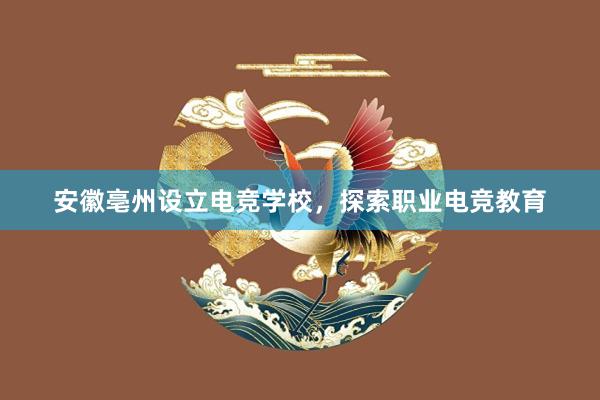 安徽亳州设立电竞学校，探索职业电竞教育