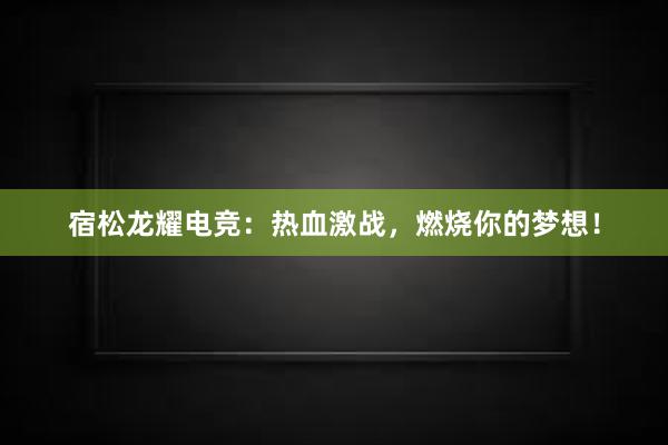 宿松龙耀电竞：热血激战，燃烧你的梦想！