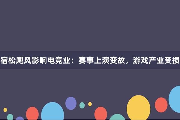 宿松飓风影响电竞业：赛事上演变故，游戏产业受损