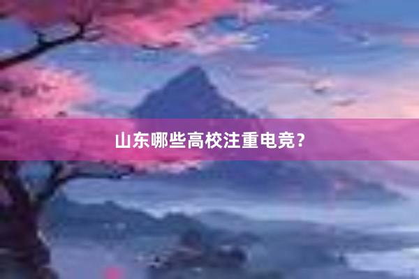 山东哪些高校注重电竞？