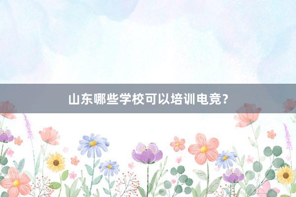 山东哪些学校可以培训电竞？