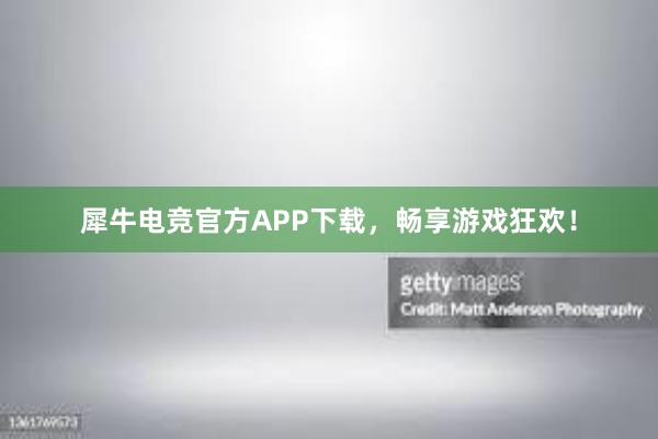 犀牛电竞官方APP下载，畅享游戏狂欢！