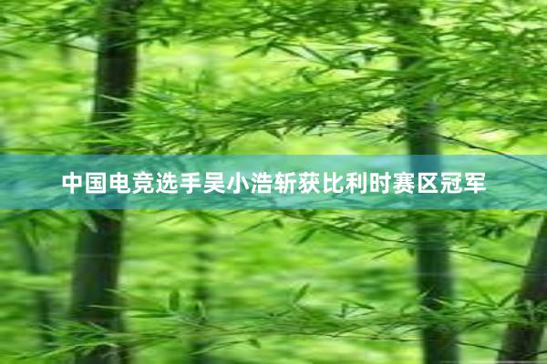 中国电竞选手吴小浩斩获比利时赛区冠军