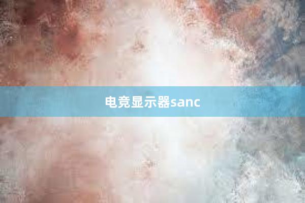 电竞显示器sanc