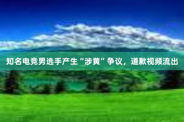 知名电竞男选手产生“涉黄”争议，道歉视频流出