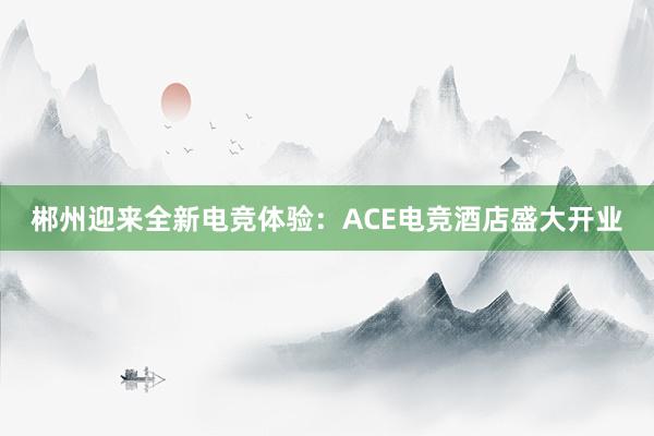 郴州迎来全新电竞体验：ACE电竞酒店盛大开业